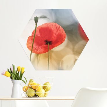 Obraz heksagonalny z Alu-Dibond - Poppies in the Morning