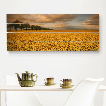 Obraz z drewna - Pole z słonecznikami