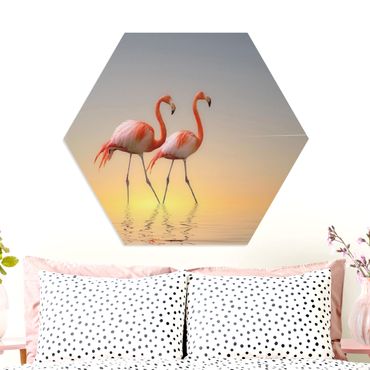 Obraz heksagonalny z Forex - Miłość flaminga