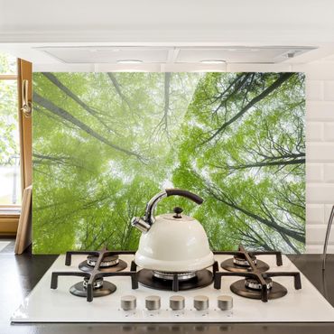 Panel szklany do kuchni - Las bukowy w Lindkogel