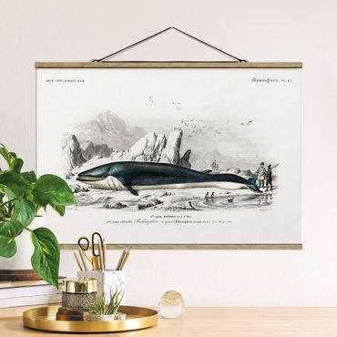 Plakat z wieszakiem - Tablica edukacyjna w stylu vintage Błękitny wieloryb