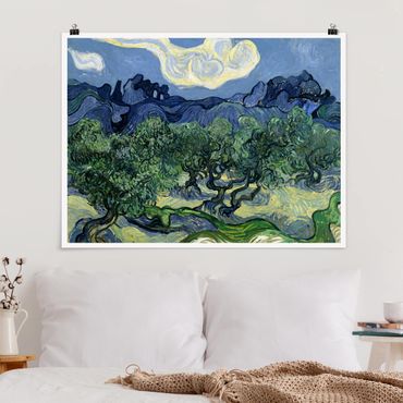 Plakat - Vincent van Gogh - Drzewa oliwne