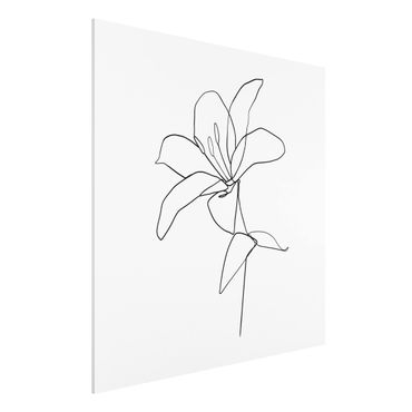 Obraz Forex - Linia Art Blossom czarno-biały