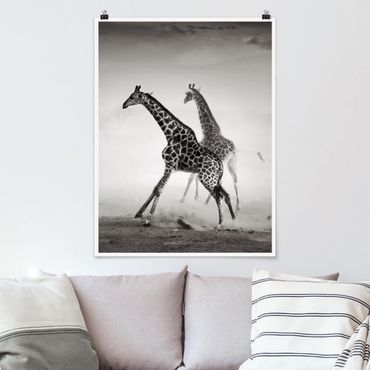 Plakat - Polowanie na żyrafę