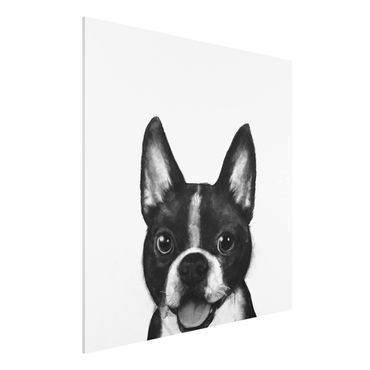 Obraz Forex - Ilustracja pies Boston czarno-biały Painting