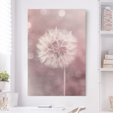 Obraz na płótnie - dandelion bokeh różowy