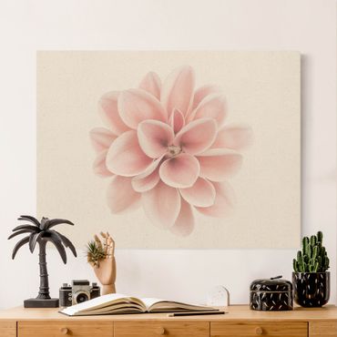 Obraz na naturalnym płótnie - Dahlia Różowy pastelowy kwiat centrowany