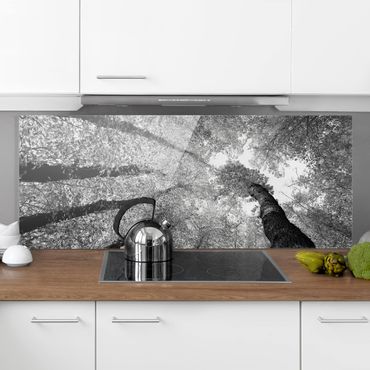 Panel szklany do kuchni - Drzewa życia II