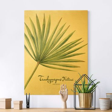 Złoty obraz na płótnie - Akwarela Botanika Trachycarpus fortunei