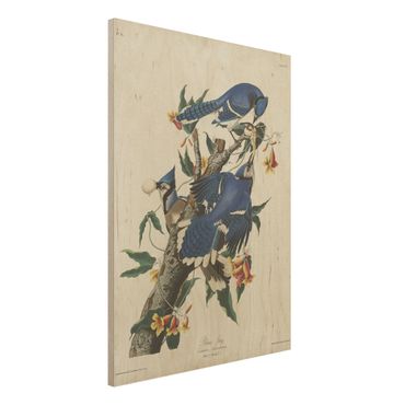 Obraz z drewna - Tablica edukacyjna w stylu vintage Sójka błękitna