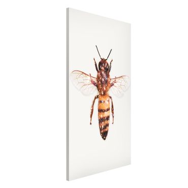Tablica magnetyczna - pszczoła z brokatem