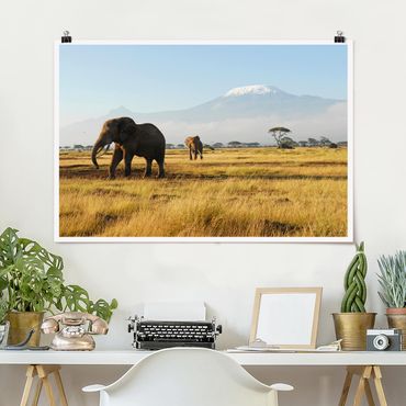 Plakat - Słonie na tle Kilimandżaro w Kenii