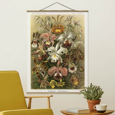 Plakat z wieszakiem - Tablica edukacyjna w stylu vintage Orchidea