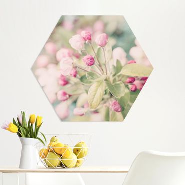 Obraz heksagonalny z Forex - Kwiat jabłoni bokeh różowy