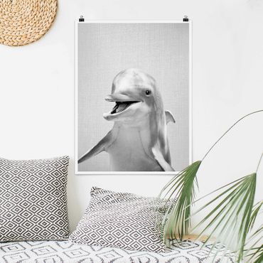 Plakat reprodukcja obrazu - Dolphin Diddi Black And White
