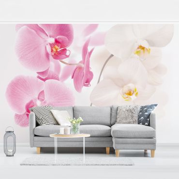 Fototapeta - Delikatne orchidee