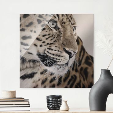 Obraz na szkle - Leopard