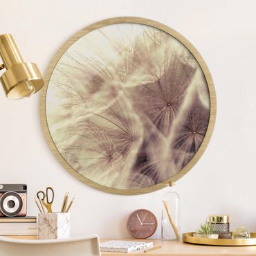 Okrągły obraz w ramie - Detailed Dandelion Macro Shot With Vintage Blur Effect