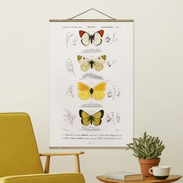 Plakat z wieszakiem - Tablica edukacyjna w stylu vintage Motyle II