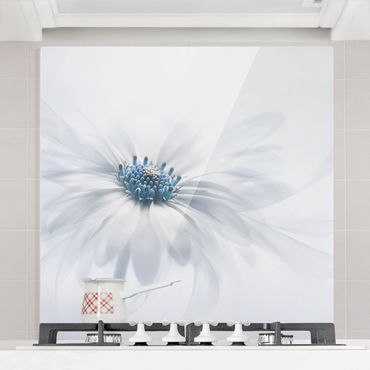 Panel szklany do kuchni - Daisies w kolorze niebieskim