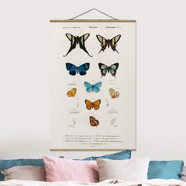 Plakat z wieszakiem - Tablica edukacyjna w stylu vintage Motyle I