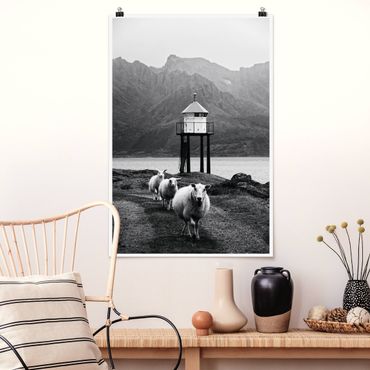 Plakat - Trzy owce na Lofotach