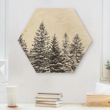 Obraz heksagonalny z drewna - Ciemny zimowy krajobraz