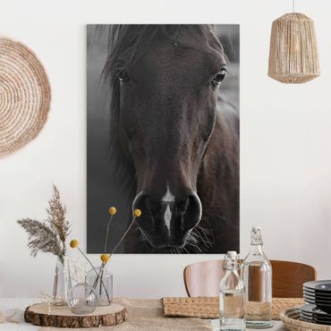 Obraz na płótnie - Czarny koń