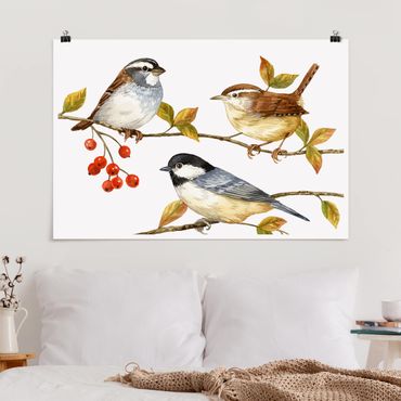 Plakat - Ptaki i jagody - sikorki