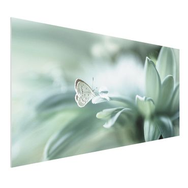 Obraz Forex - Motyl i krople rosy w pastelowej zieleni