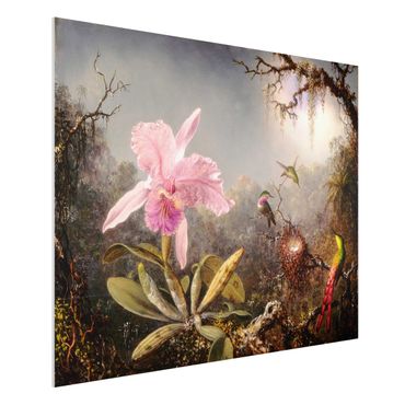 Obraz Forex - Martin Johnson Heade - Orchidea i trzy kolibry