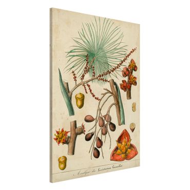Tablica magnetyczna - Tablica edukacyjna w stylu vintage Palmy egzotyczne III