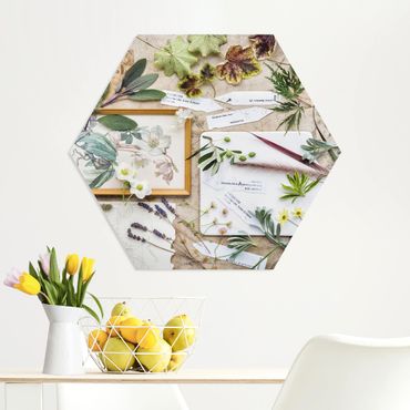 Obraz heksagonalny z Forex - Kwiaty i zioła ogrodowe Vintage
