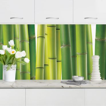 Panel ścienny do kuchni - Rośliny bambusowe I