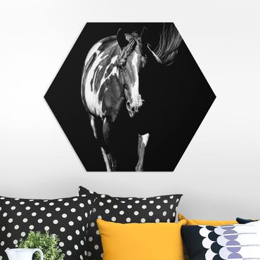 Obraz heksagonalny z Forex - Koń przed Czarnym