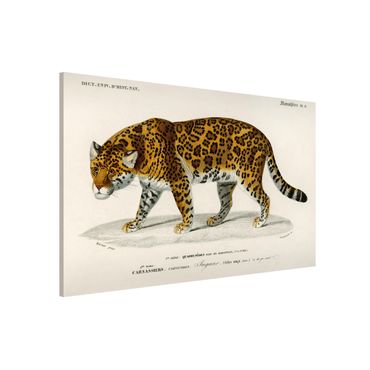 Tablica magnetyczna - Tablica edukacyjna w stylu vintage Jaguar