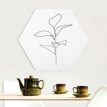 Obraz heksagonalny z Forex - Line Art Liście roślin Czarne Białe