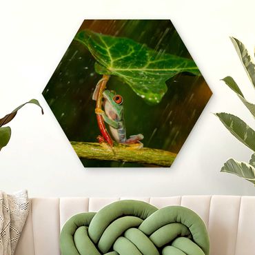 Obraz heksagonalny z drewna - Żaba w deszczu