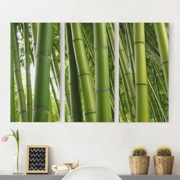 Obraz na płótnie 3-częściowy - Drzewa bambusowe