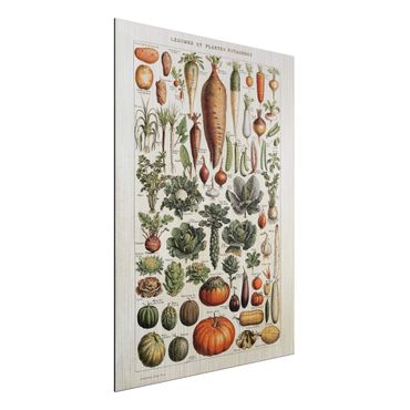 Obraz Alu-Dibond - Tablica edukacyjna w stylu vintage Warzywa