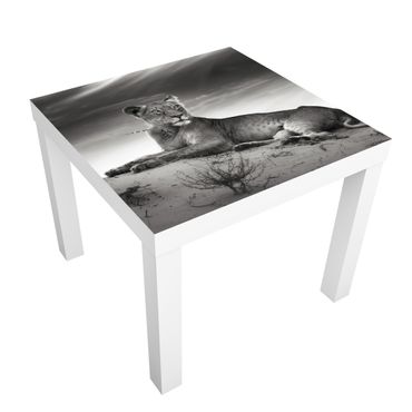 Okleina meblowa IKEA - Lack stolik kawowy - Gniazdujący lew
