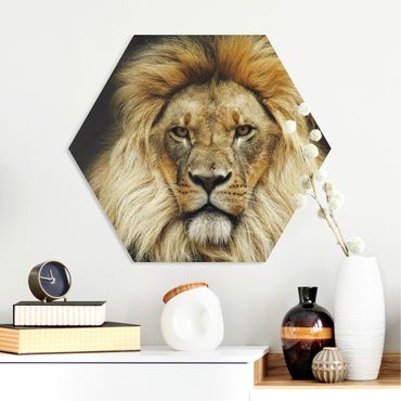 Obraz heksagonalny z Forex - Mądrość lwa