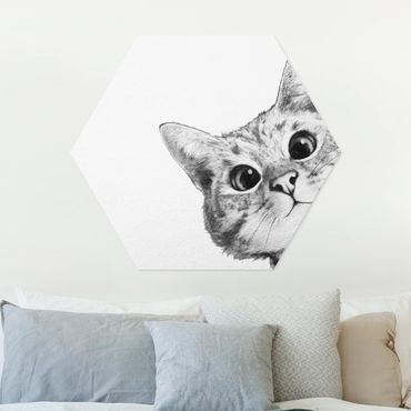 Obraz heksagonalny z Forex - Ilustracja kota Rysunek czarno-biały