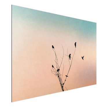 Obraz Alu-Dibond - Ptaki na tle różowego słońca II