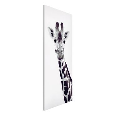 Tablica magnetyczna - Portret żyrafy w czerni i bieli