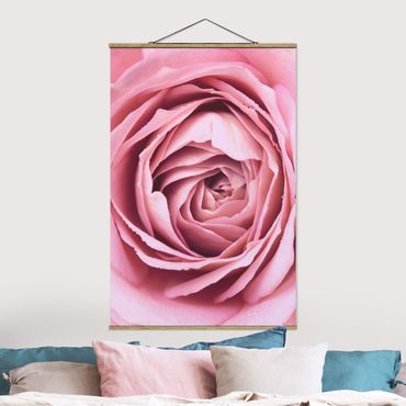 Plakat z wieszakiem - Różowy kwiat róży