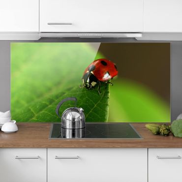 Panel szklany do kuchni - Lady Bird