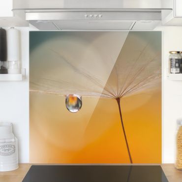 Panel szklany do kuchni - Mniszek lekarski w kolorze pomarańczowym
