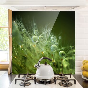 Panel szklany do kuchni - Zielone nasiona w deszczu