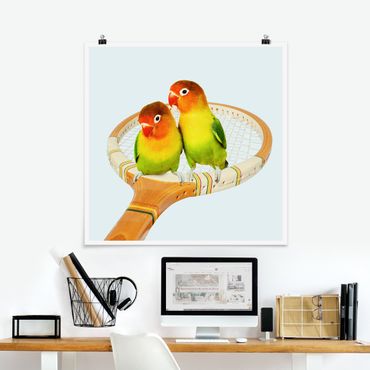 Plakat - Tenis z ptakami